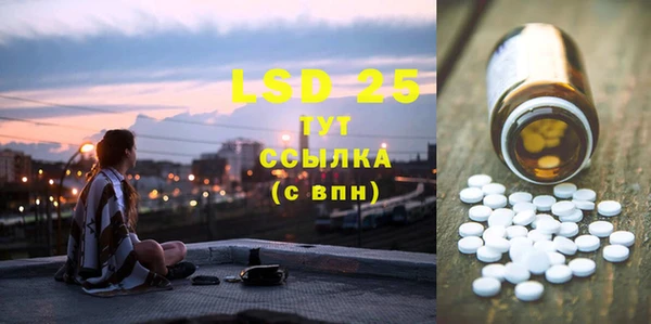 PSILOCYBIN Волосово
