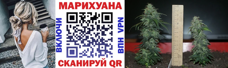 Канабис планчик  darknet клад  Калач-на-Дону  купить  сайты 